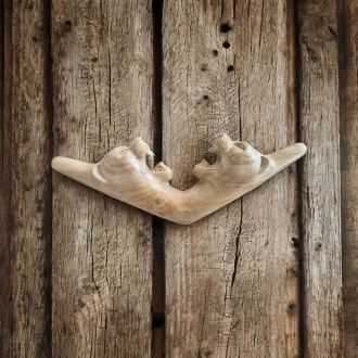 Tepi Double Jaguar Crocodile