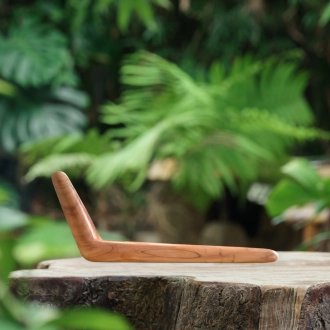 Tepi Minimalistic Sawo