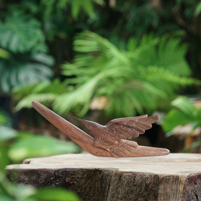 Tepi Colibri Teck